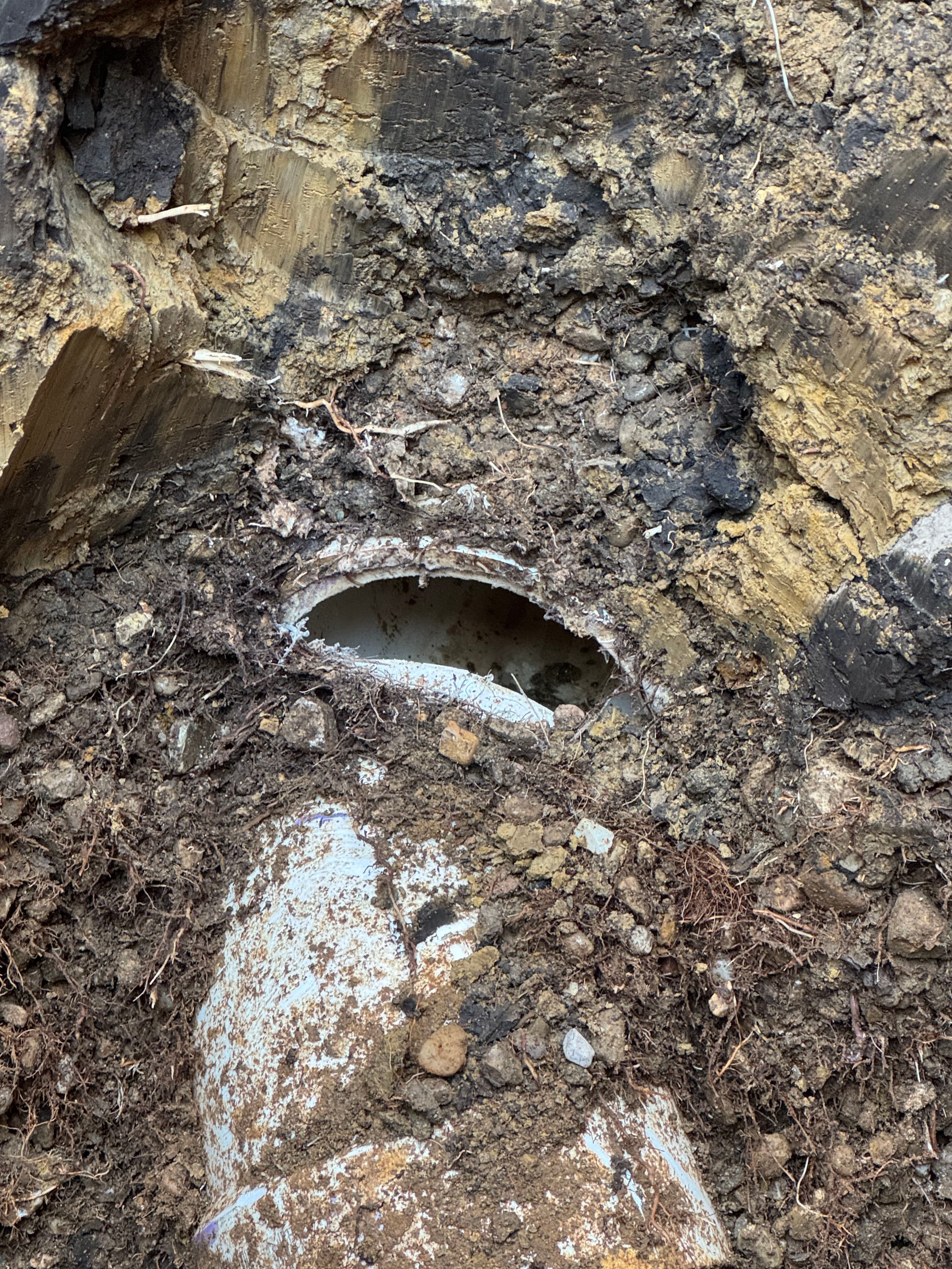 Project Efficient Sewer Line Repair Saves Time and Money image