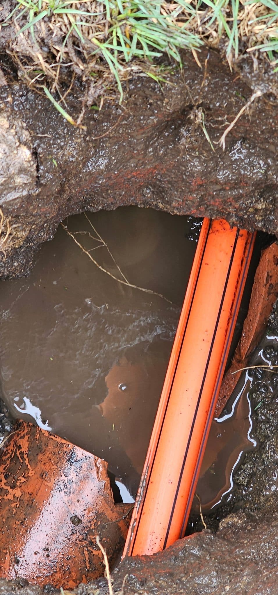 Gallery photos for Uncovering Hidden Drain Issues with Expert Precision: Image #1